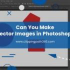 Can You Make Vector Images in Photoshop